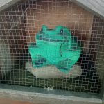 phoca_thumb_m_u abky 21 Fotogalerie